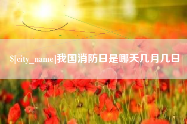 濮阳我国消防日是哪天几月几日
