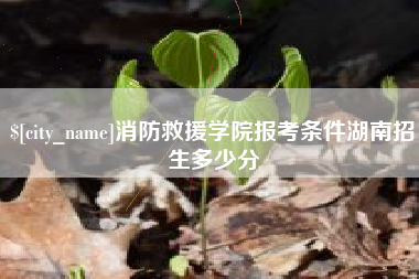 濮阳消防救援学院报考条件湖南招生多少分