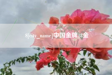 濮阳中国金牌18金