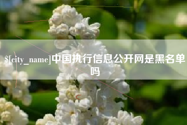 濮阳中国执行信息公开网是黑名单吗