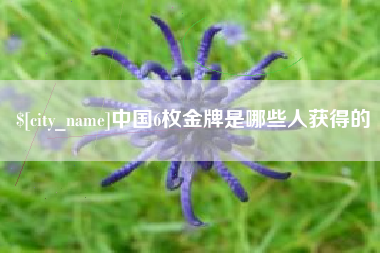 濮阳中国6枚金牌是哪些人获得的