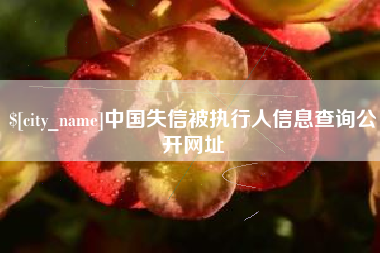 濮阳中国失信被执行人信息查询公开网址