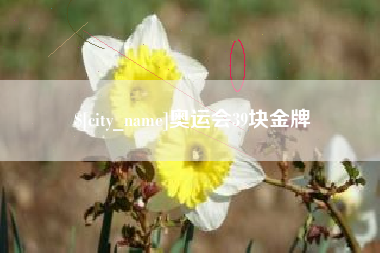 濮阳奥运会39块金牌