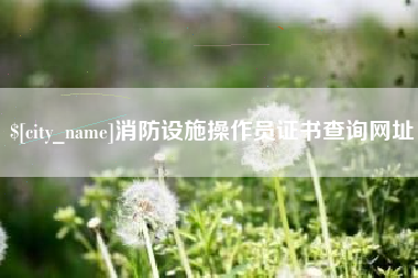 濮阳消防设施操作员证书查询网址
