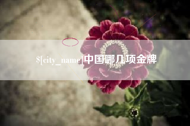 濮阳中国哪几项金牌