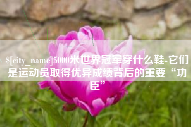 濮阳5000米世界冠军穿什么鞋-它们是运动员取得优异成绩背后的重要“功臣”