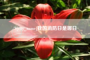 濮阳我国消防日是哪日