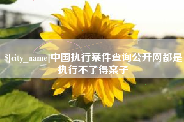 濮阳中国执行案件查询公开网都是执行不了得案子