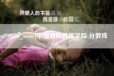 濮阳中国消防救援学院 分数线