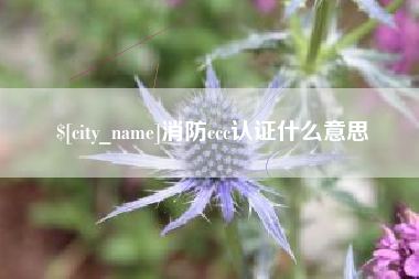 濮阳消防ccc认证什么意思