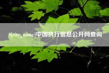 濮阳中国执行信息公开网查询