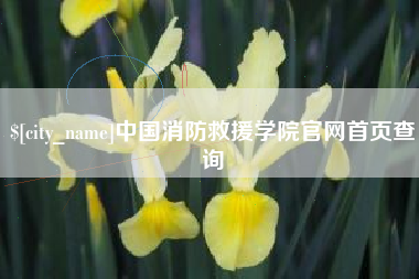 濮阳中国消防救援学院官网首页查询