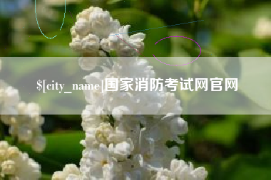 濮阳国家消防考试网官网