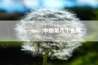 濮阳中国第九个金牌