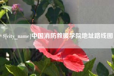 濮阳中国消防救援学院地址路线图