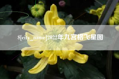 濮阳2022年九宫格飞星图