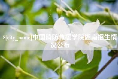 濮阳中国消防救援学院湖南招生情况公布
