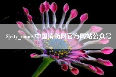 濮阳中国消防网官方网站公众号