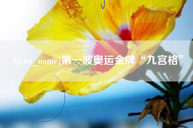 濮阳第一波奥运金牌“九宫格”