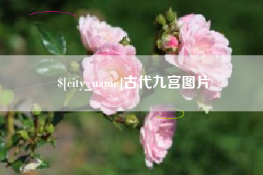 濮阳古代九宫图片