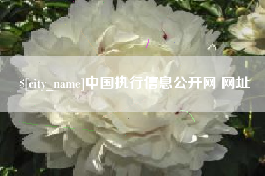 濮阳中国执行信息公开网 网址