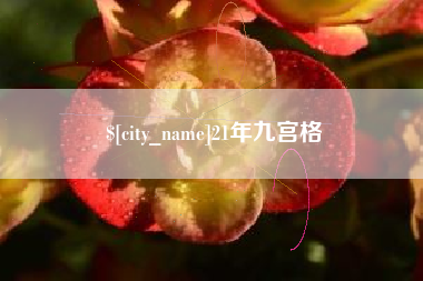濮阳21年九宫格