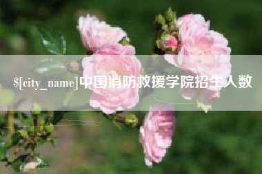 濮阳中国消防救援学院招生人数