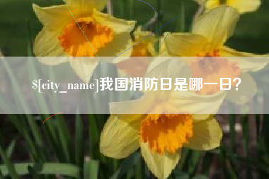 濮阳我国消防日是哪一日？