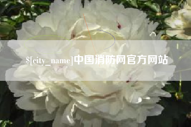 濮阳中国消防网官方网站