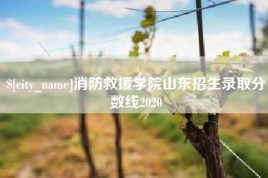 濮阳消防救援学院山东招生录取分数线2020
