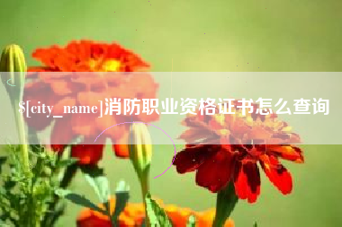 濮阳消防职业资格证书怎么查询