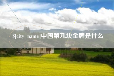 濮阳中国第九块金牌是什么