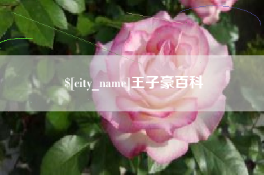 濮阳王子豪百科