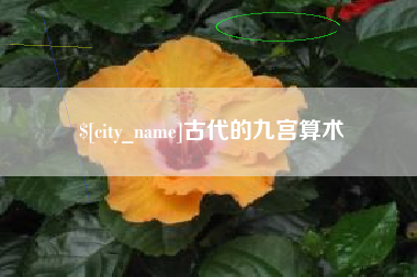 濮阳古代的九宫算术