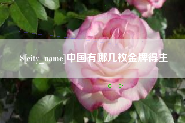 濮阳中国有哪几枚金牌得主