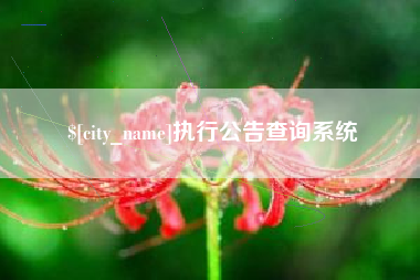 濮阳执行公告查询系统
