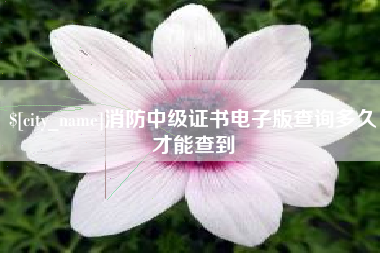濮阳消防中级证书电子版查询多久才能查到
