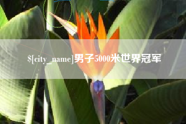 濮阳男子5000米世界冠军
