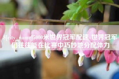 濮阳5000米世界冠军配速-世界冠军们往往能在比赛中巧妙地分配体力