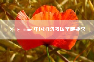 濮阳中国消防救援学院要求