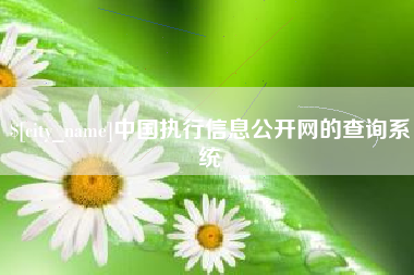 濮阳中国执行信息公开网的查询系统