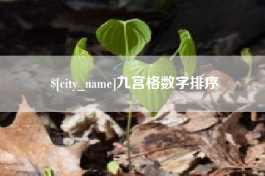 濮阳九宫格数字排序