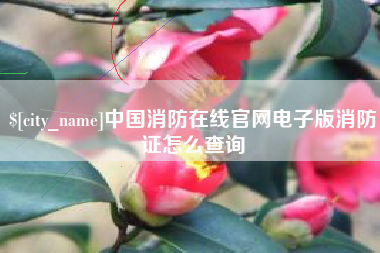濮阳中国消防在线官网电子版消防证怎么查询