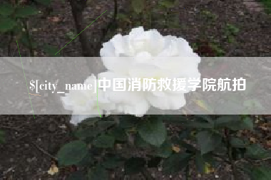 濮阳中国消防救援学院航拍