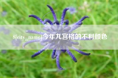 濮阳今年九宫格的不利颜色