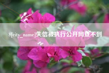 濮阳失信被执行公开网查不到