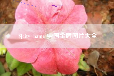 濮阳中国金牌图片大全