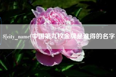 濮阳中国第九枚金牌是谁得的名字