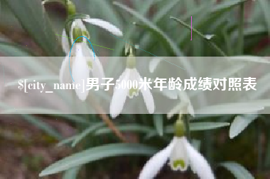 濮阳男子5000米年龄成绩对照表