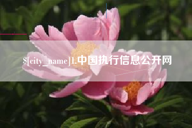 濮阳1.中国执行信息公开网